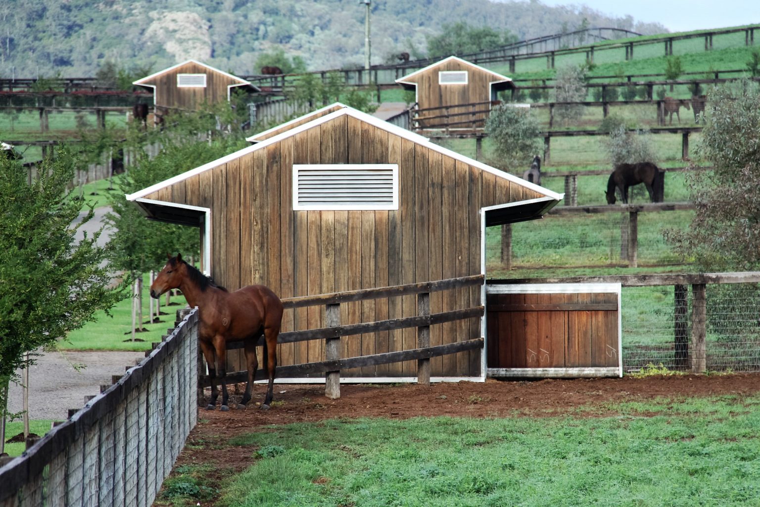 Horse Stables, Stalls, Boxes, Barn and Stable Complexes – Stephen Irwin